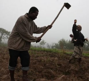 Seguro agrícola deve avançar