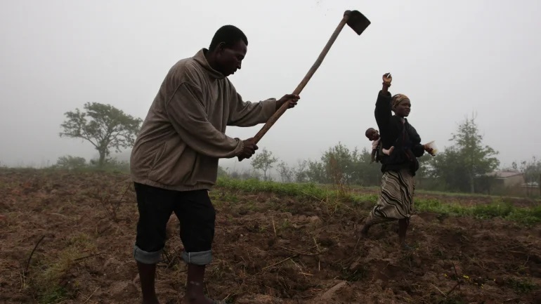 Seguro agrícola deve avançar