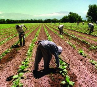 Banco Mundial apoia economia rural