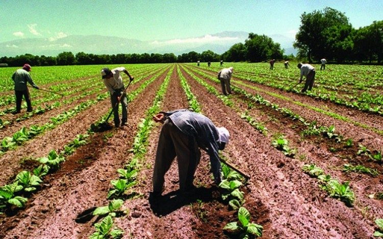 Banco Mundial apoia economia rural