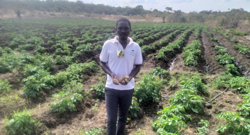 Jovem agricultor de Barué recebe prémio de bom desempenho