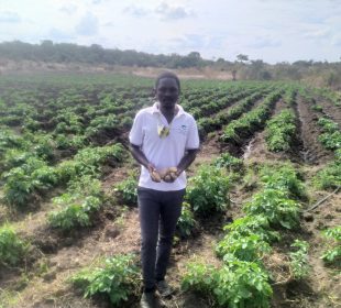 Jovem agricultor de Barué recebe prémio de bom desempenho