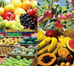 Fruticultura, uma mina renovável