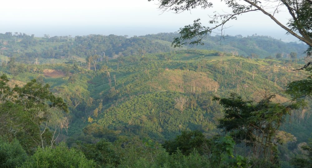 Moçambique recebe a primeira tranche dos USD 50 milhões do Acordo de Pagamento por Reduções de Emissões