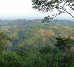 Moçambique recebe a primeira tranche dos USD 50 milhões do Acordo de Pagamento por Reduções de Emissões