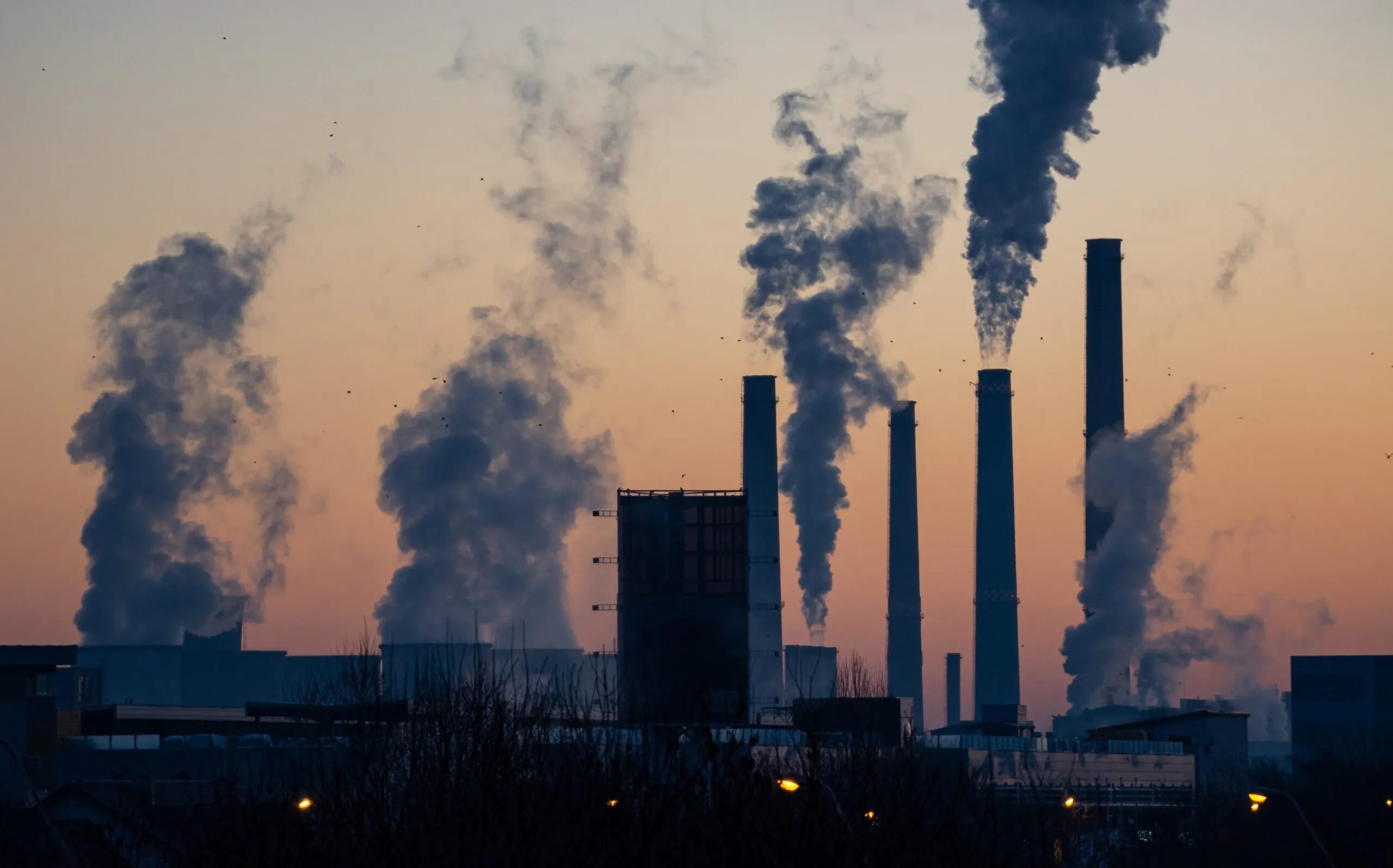 <strong>Mercado de créditos de carbono vai impulsionar o crescimento de África em 2023</strong>