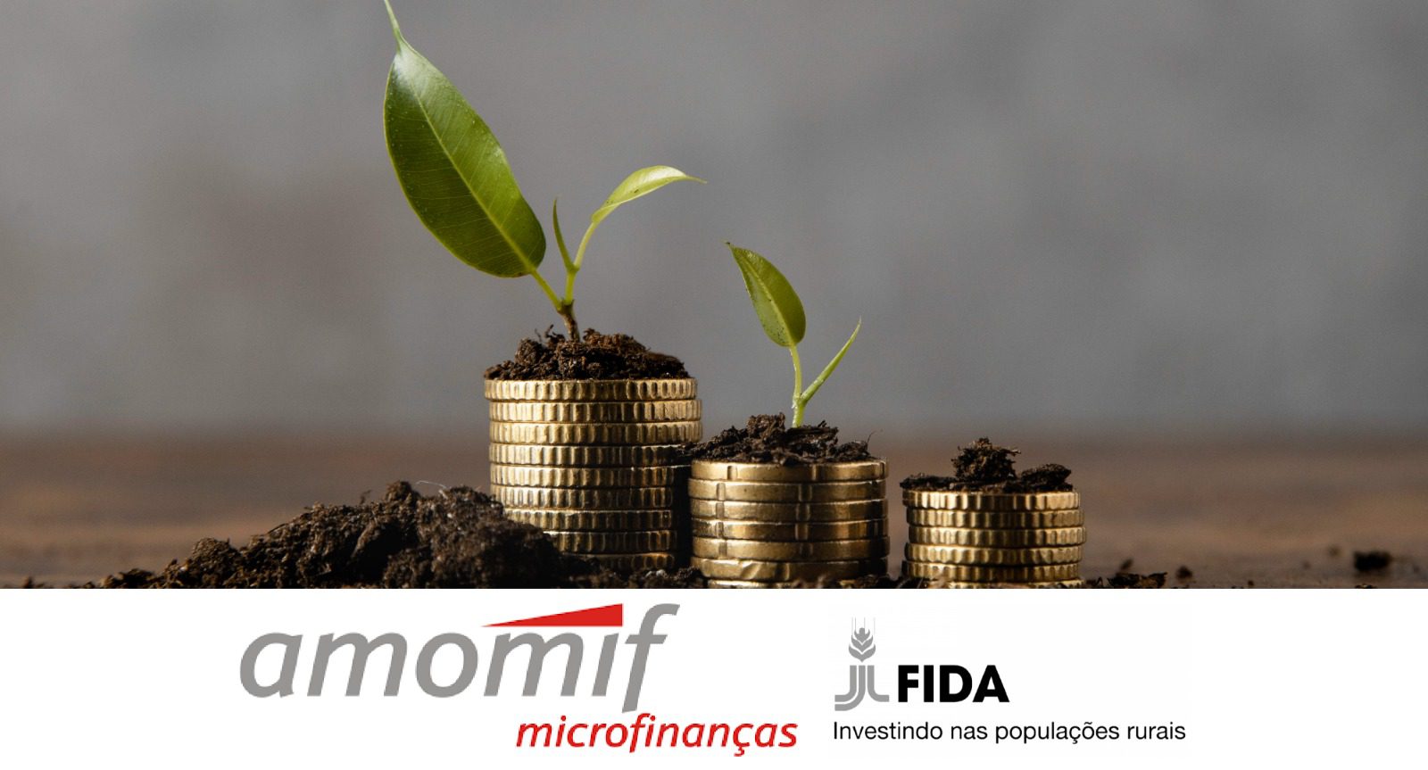 AMOMIF e FIDA relançam indústria microfinanceira