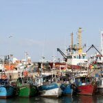 Moçambique perde anualmente cerca de US$ 70 milhões devido à pesca ilegal