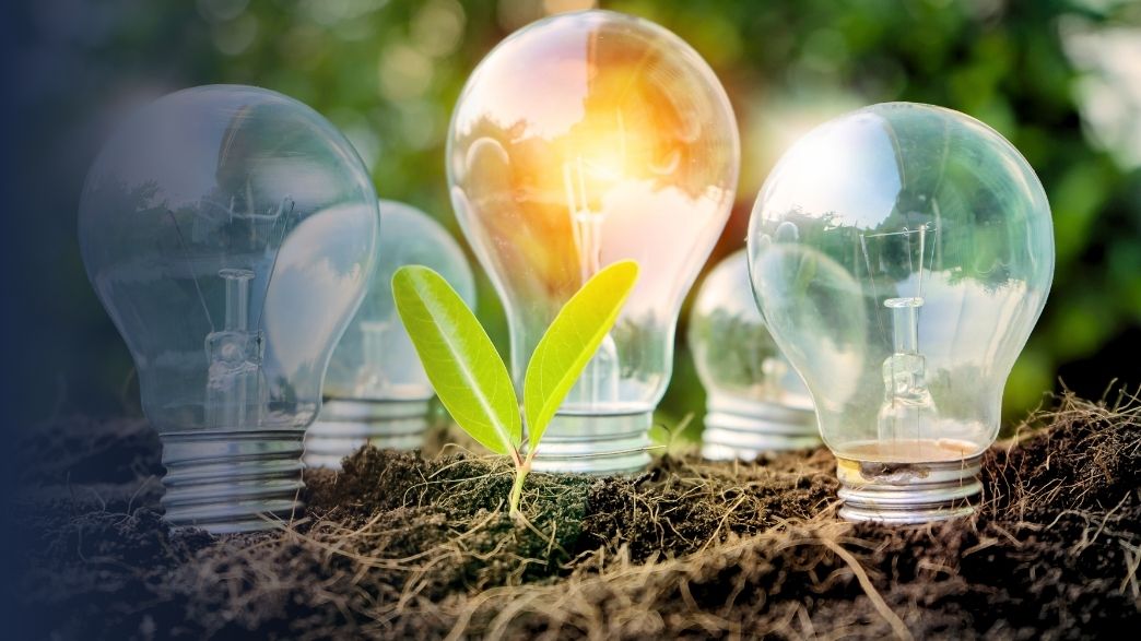 Moçambique Projecta Investimento De 80 Mil Milhões De Dólares Para Acelerar Transição Energética