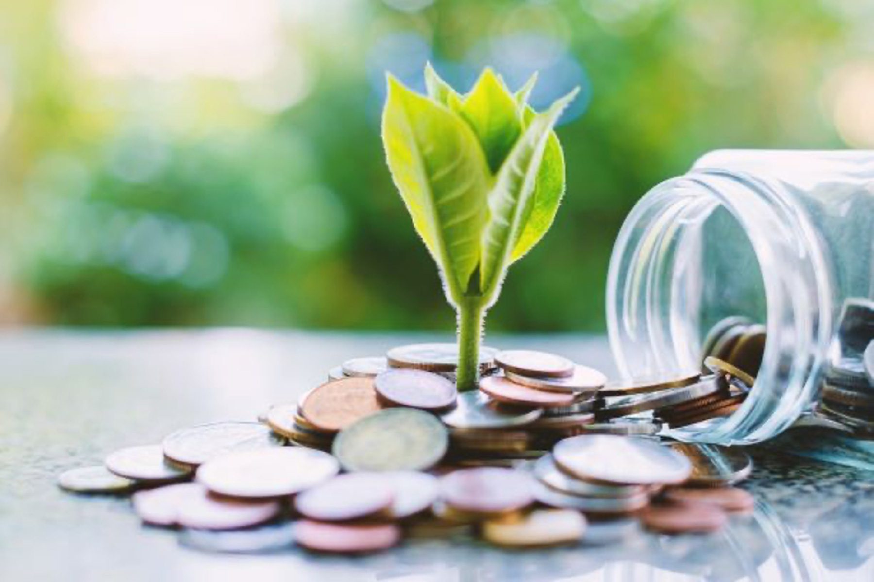 GEF Canaliza 44,9 Milhões de USD Para a Gestão Ambiental em Moçambique: País Procura Reforçar Supervisão e Competitividade no Acesso ao Financiamento Climático