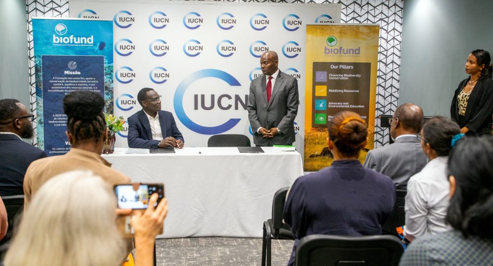 615716939_1179527567716048_3407355372045274878_n