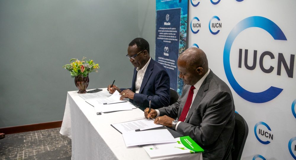 616106422_1179527341049404_8747393700307147669_n