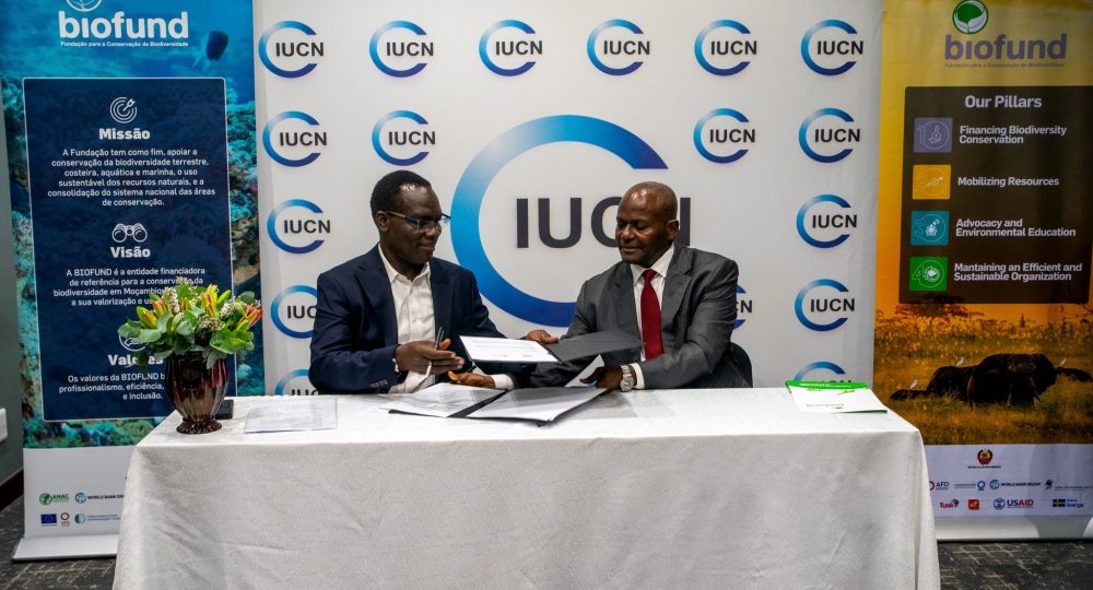 616987739_1179527457716059_2656527927431445451_n