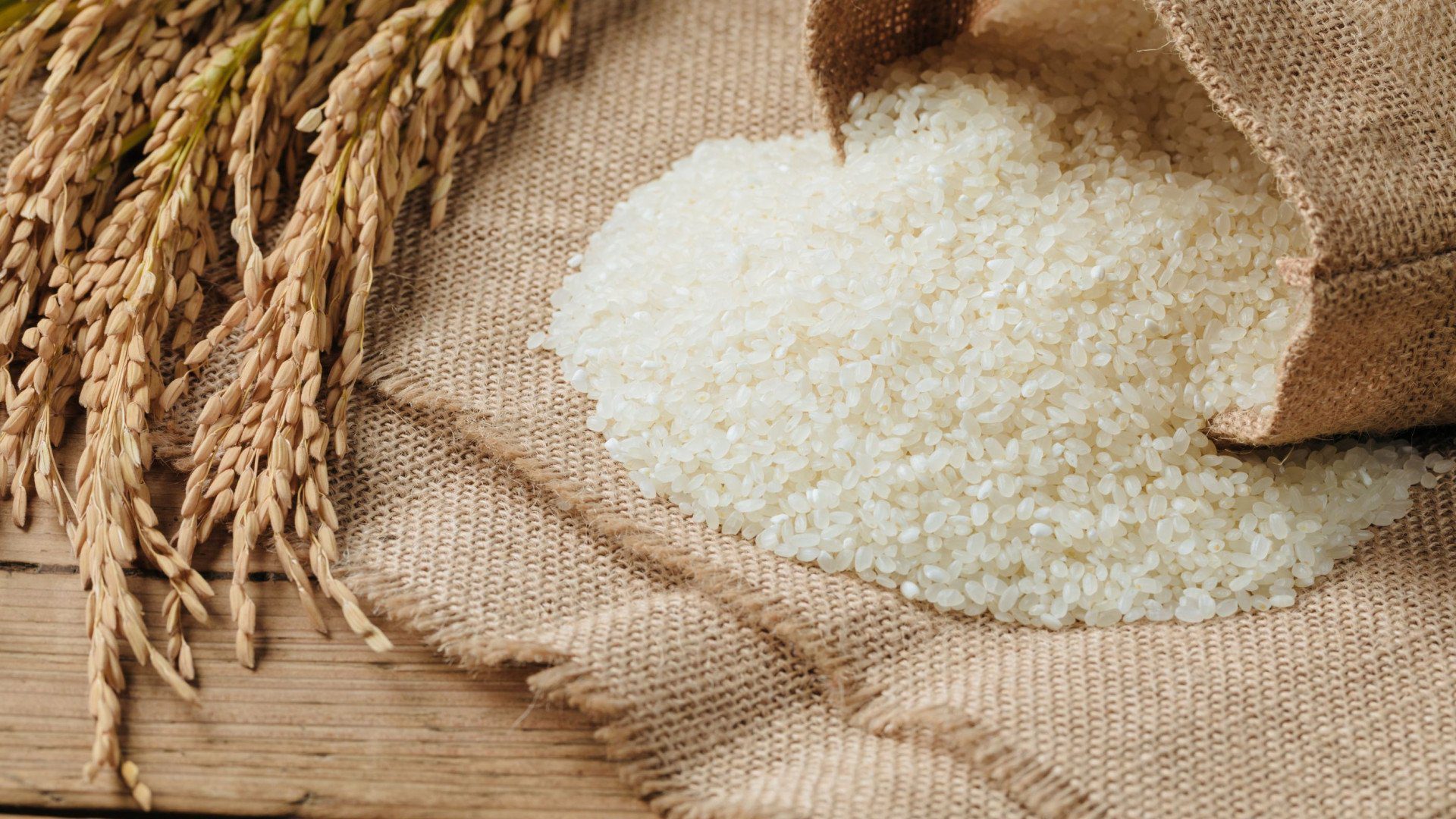 Importador Único de Arroz e Trigo Resposta Cambial de Curto Prazo ou Risco Estrutural para a Segurança Alimentar