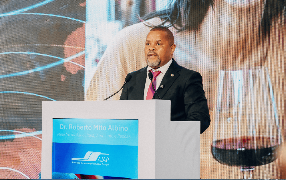 Moçambique Procura Tecnologia E Capital Português Para Acelerar Agro-Indústria