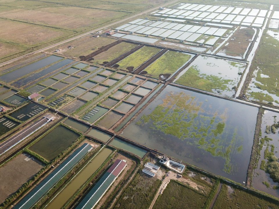Regadios, Sementes E Agro-Indústria Podem Reposicionar Gaza Na Geografia Produtiva Nacional – MPD