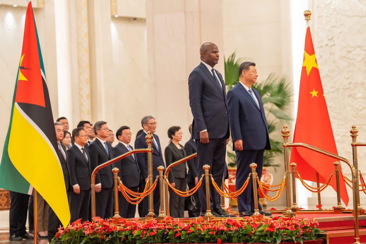 Moçambique Tenciona Rever Acordo Com China Após US$ 1,3 Mil Milhões Em Exportações Ilegais De Madeira