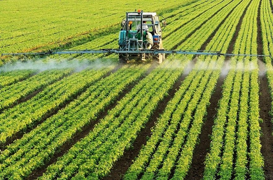 Moçambique Quer Reduzir Perdas Pós-Colheita E Medir Melhor O Retorno Dos Investimentos Na Segurança Alimentar