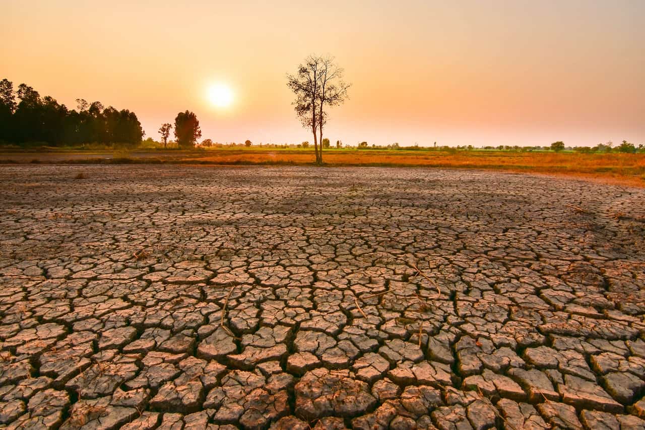 El Niño Intensifica-se e Eleva Riscos Para Agricultura, Energia e Preços Até 2027