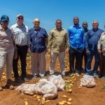 Governo Quer Novo Mercado Grossista em Maputo Para Reduzir Custos Agrícolas e Concorrência das Importações