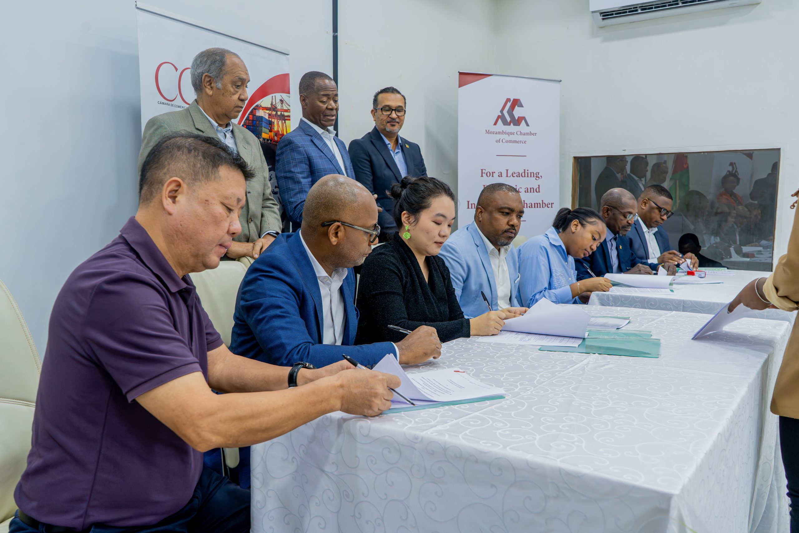 Mandioca Procura Salto de Produtividade Com Aposta na Mecanização e Mercado Chinês