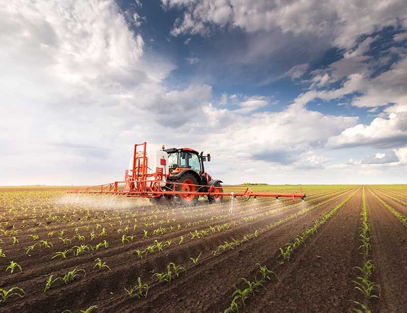 Governo Redefine Prioridades Agrárias Após o SUSTENTA e Coloca Financiamento, Cadeias de Valor e Coordenação no Centro da Estratégia