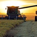 Estudo Defende Reformas Integradas Para Transformar Agricultura em Motor da Industrialização
