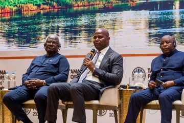 Daniel Chapo intervém num painel do Fórum de Tana, em Bahir Dar
